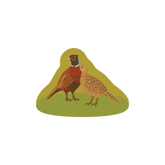 Artboard 5_compressed