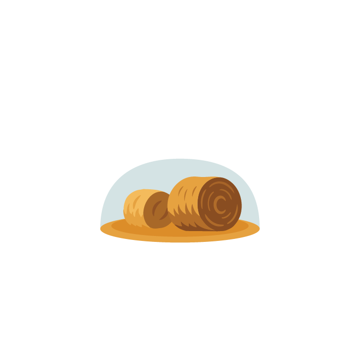 Hay Bails_compressed